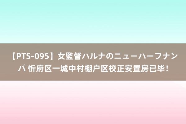 【PTS-095】女監督ハルナのニューハーフナンパ 忻府区一城中村棚户区校正安置房已毕！