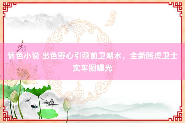 情色小说 出色野心引颈前卫潮水，全新路虎卫士实车图曝光