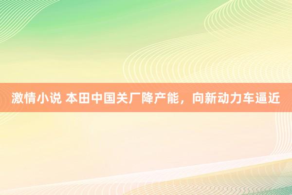 激情小说 本田中国关厂降产能，向新动力车逼近