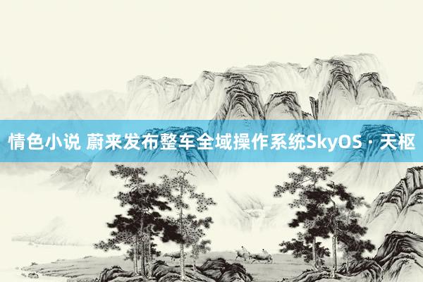 情色小说 蔚来发布整车全域操作系统SkyOS · 天枢