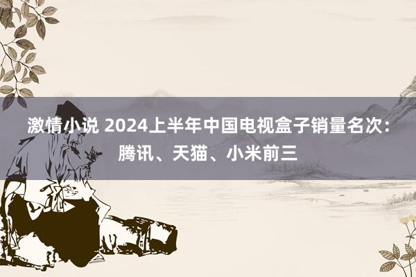 激情小说 2024上半年中国电视盒子销量名次：腾讯、天猫、小米前三