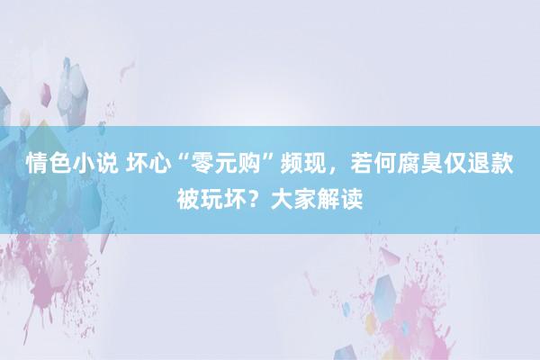 情色小说 坏心“零元购”频现，若何腐臭仅退款被玩坏？大家解读