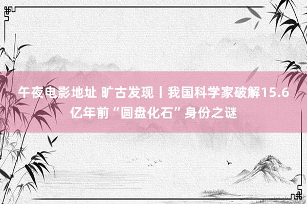 午夜电影地址 旷古发现丨我国科学家破解15.6亿年前“圆盘化石”身份之谜