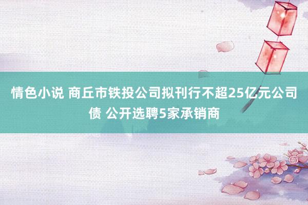 情色小说 商丘市铁投公司拟刊行不超25亿元公司债 公开选聘5家承销商