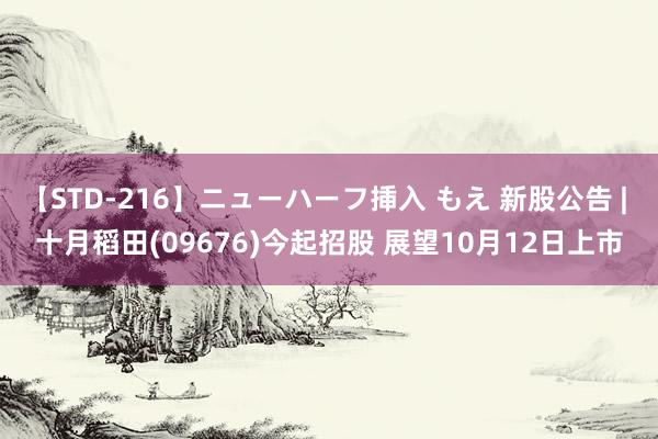 【STD-216】ニューハーフ挿入 もえ 新股公告 | 十月稻田(09676)今起招股 展望10月12日上市