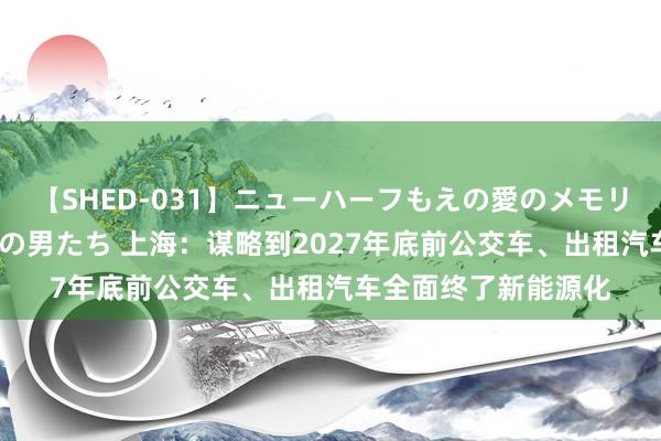 【SHED-031】ニューハーフもえの愛のメモリー 通り過ぎた12人の男たち 上海：谋略到2027年底前公交车、出租汽车全面终了新能源化