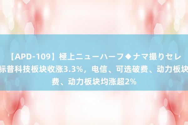 【APD-109】極上ニューハーフ◆ナマ撮りセレクション 标普科技板块收涨3.3%，电信、可选破费、动力板块均涨超2%