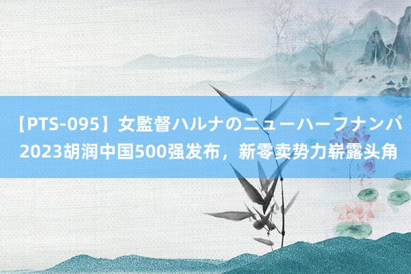 【PTS-095】女監督ハルナのニューハーフナンパ 2023胡润中国500强发布，新零卖势力崭露头角