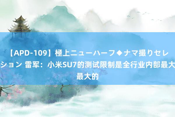 【APD-109】極上ニューハーフ◆ナマ撮りセレクション 雷军：小米SU7的测试限制是全行业内部最大的