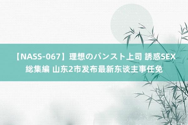 【NASS-067】理想のパンスト上司 誘惑SEX総集編 山东2市发布最新东谈主事任免