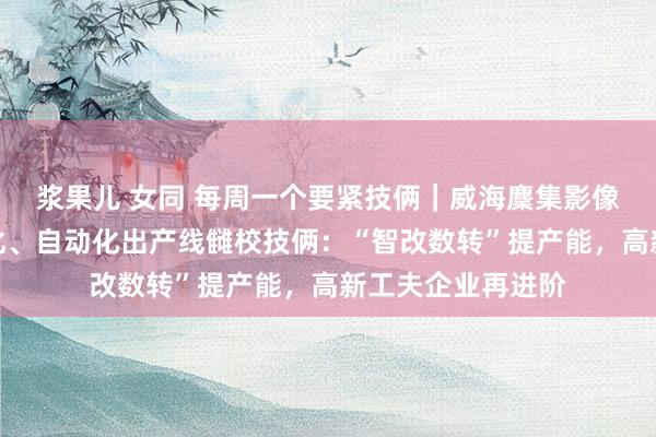 浆果儿 女同 每周一个要紧技俩｜威海麇集影像录像头模组智能化、自动化出产线雠校技俩：“智改数转”提产能，高新工夫企业再进阶