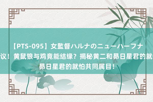 【PTS-095】女監督ハルナのニューハーフナンパ 不成想议！黄鼠狼与鸡竟能结缘？揭秘黄二和昴日星君的就怕共同属目！