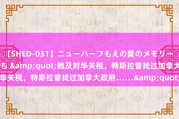 【SHED-031】ニューハーフもえの愛のメモリー 通り過ぎた12人の男たち &quot;触及对华关税，特斯拉曾找过加拿大政府……&quot;