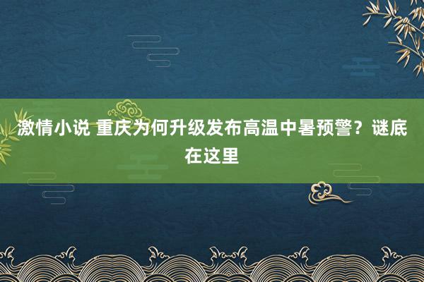 激情小说 重庆为何升级发布高温中暑预警？谜底在这里