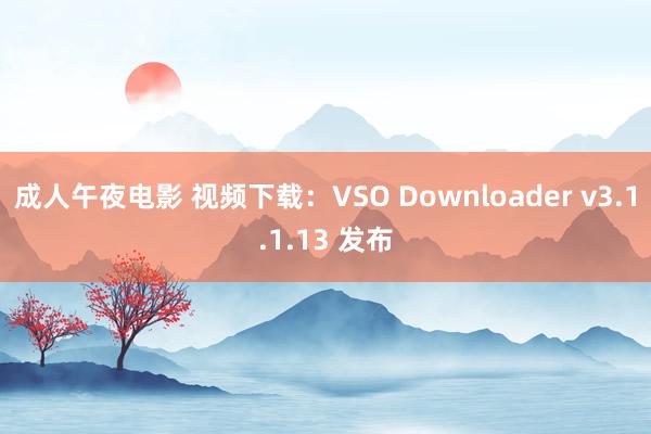 成人午夜电影 视频下载：VSO Downloader v3.1.1.13 发布