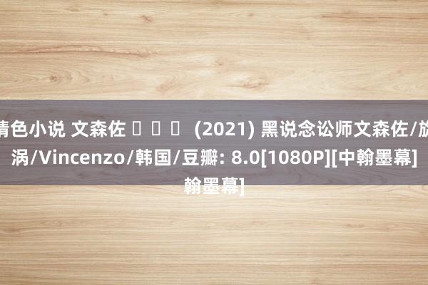 情色小说 文森佐 빈센조 (2021) 黑说念讼师文森佐/旋涡/Vincenzo/韩国/豆瓣: 8.0[1080P][中翰墨幕]