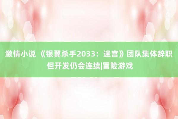 激情小说 《银翼杀手2033：迷宫》团队集体辞职 但开发仍会连续|冒险游戏