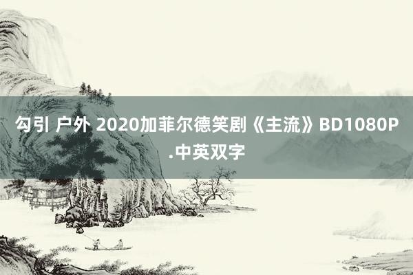 勾引 户外 2020加菲尔德笑剧《主流》BD1080P.中英双字